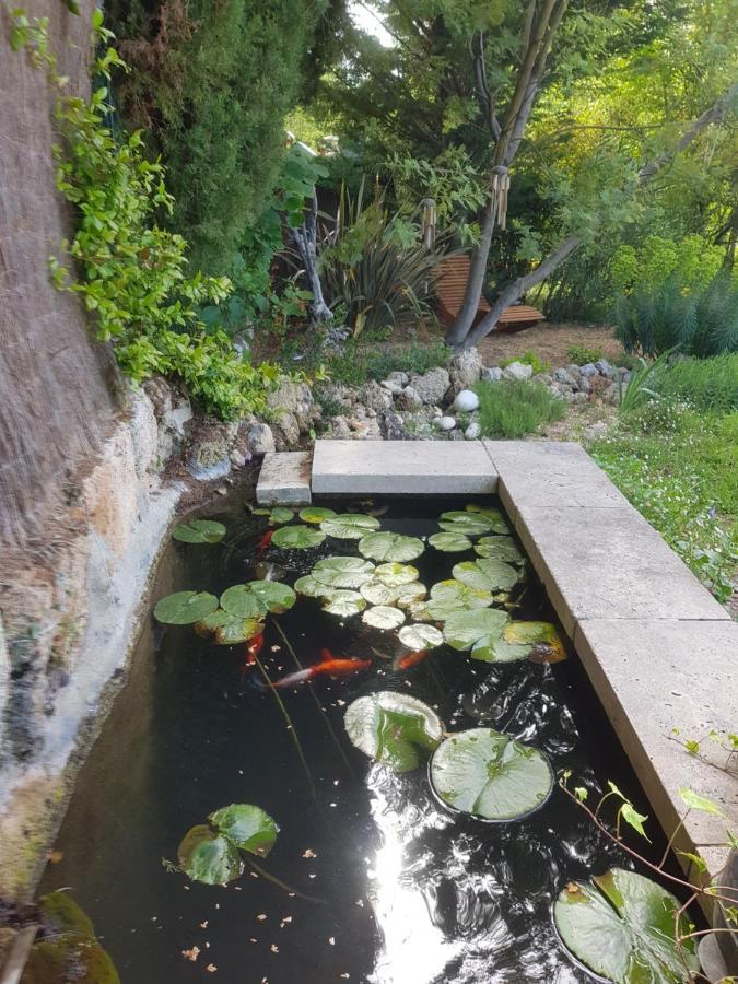Maison Mimosa Salernes Bagian luar foto
