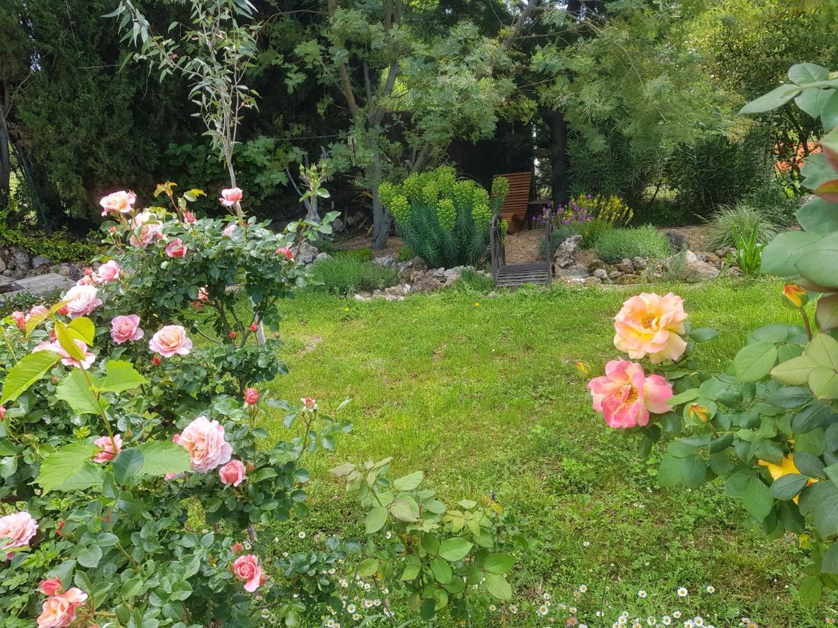 Maison Mimosa Salernes Bagian luar foto